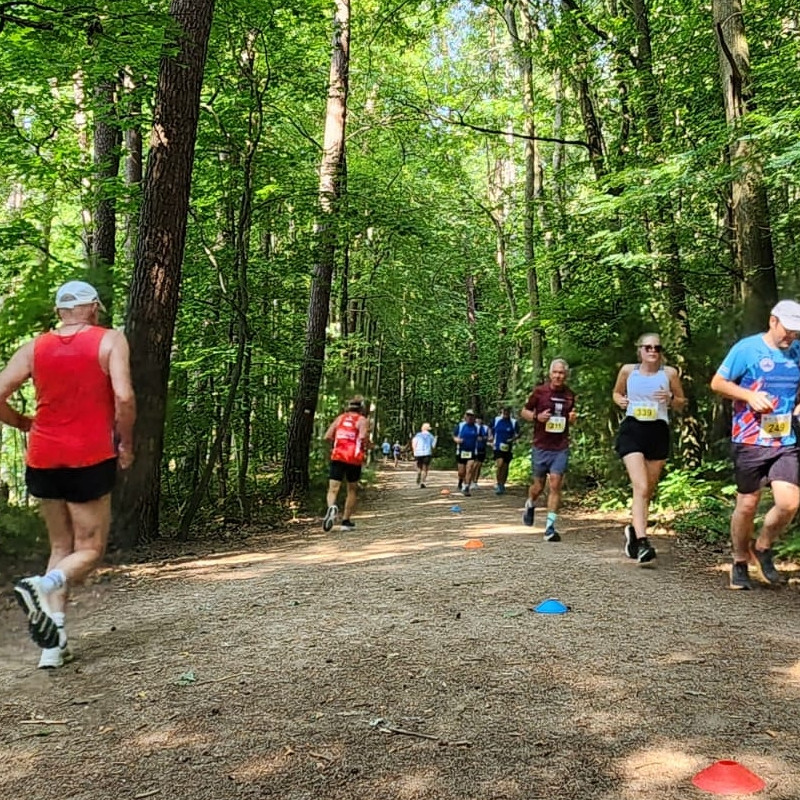 Reger Verkehr herrschte im dichten Laubwald