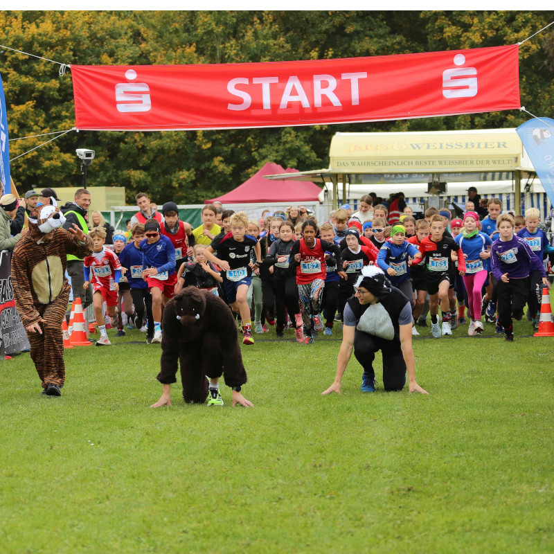 Frischlingsrunstart
